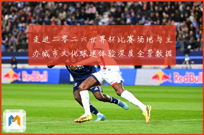 走进二零二六世界杯比赛场地与主办城市文化球迷体验深度全景数据研判：最新赛事动态与深度分析